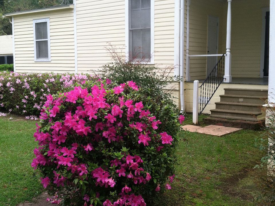 Side yard