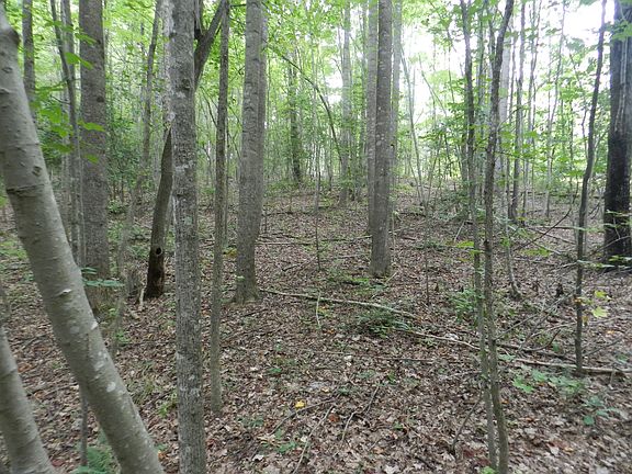 2nd image of 00 Nc Hwy 134