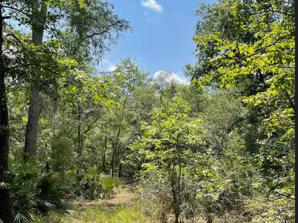 Earl Blvd, Branford, FL 32008