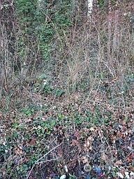 2nd image of 0 Eriksen Place
