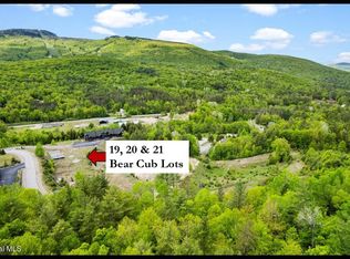 19-20 21 Bear Cub Dr, North Creek, NY 12853