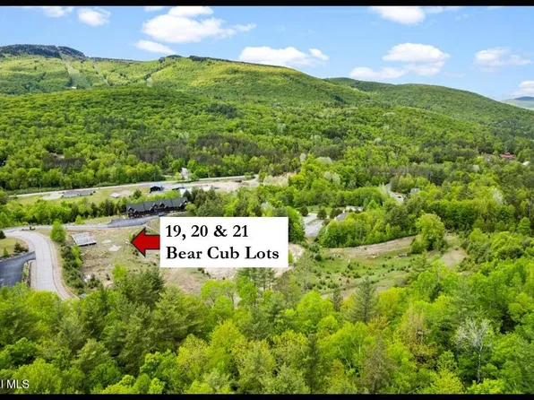 19, 20, 21 Bear Cub Drive, North Creek, NY 12853