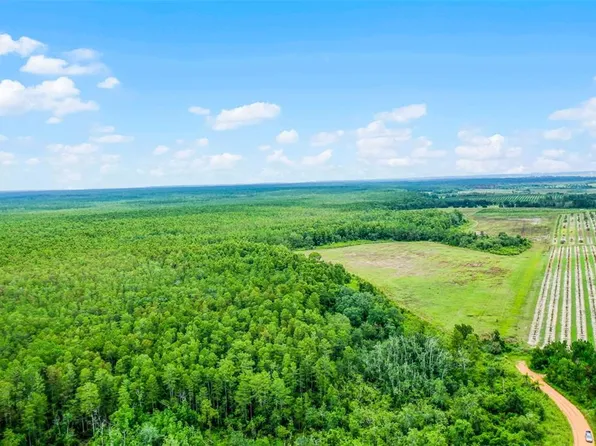 S Boggy Marsh Rd, Clermont, FL 34714