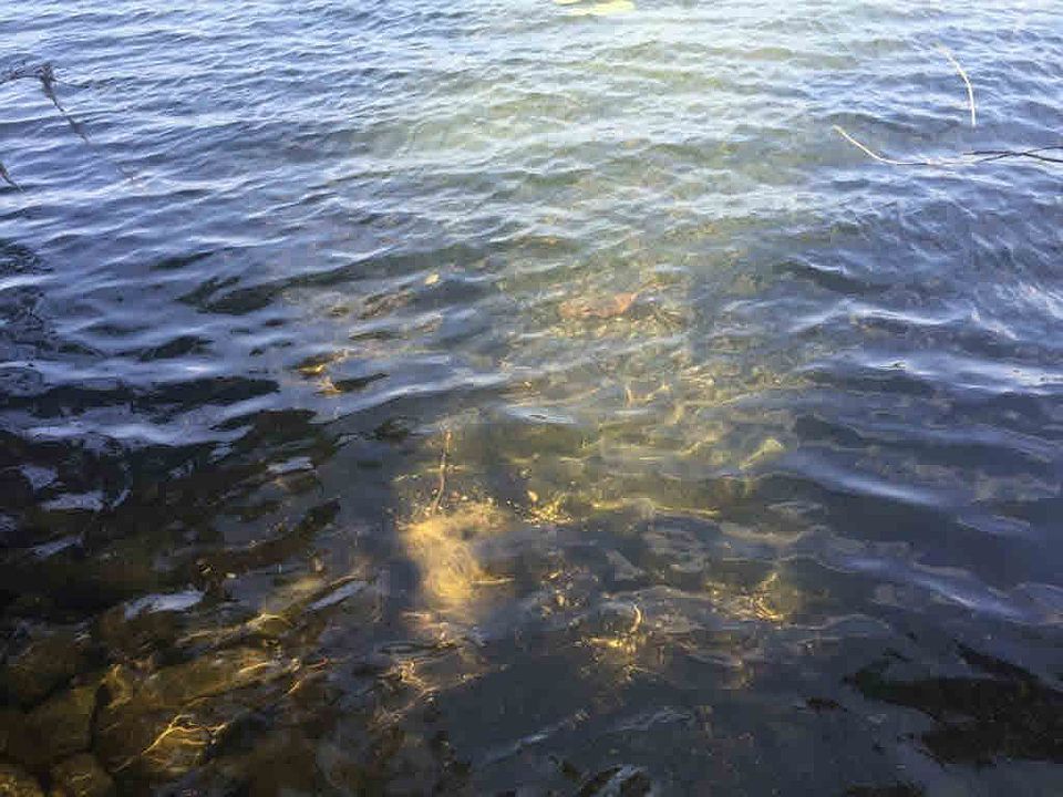 2nd image of 18180 Lake John Rd