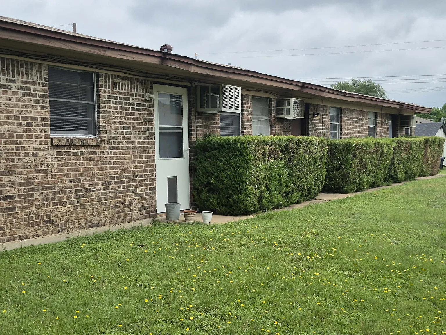 1 bed, 520 sqft, $600 — Photo 2