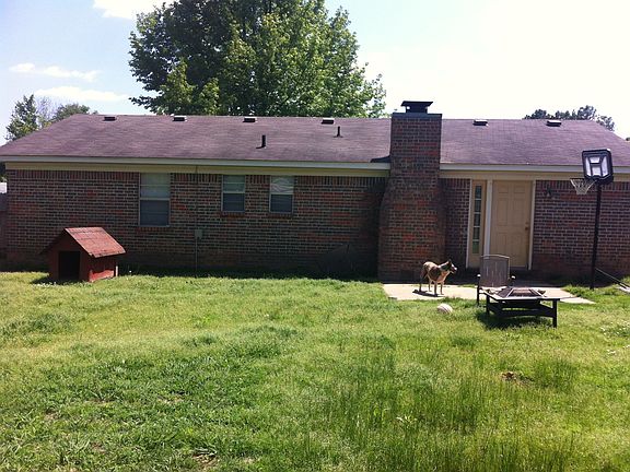 back side of house/yard