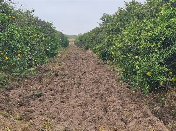 1107 W Davis Rd, Edinburg, TX 78541