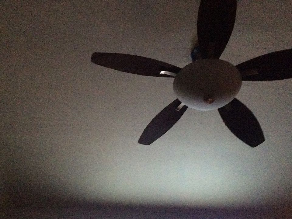 2nd image of 65 Norwood Ave