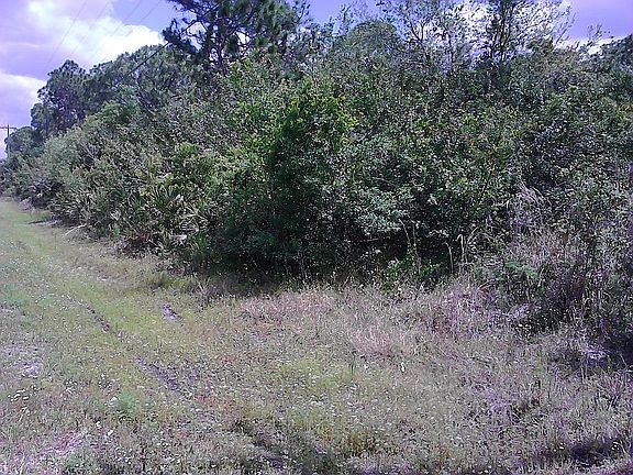 From West looking East