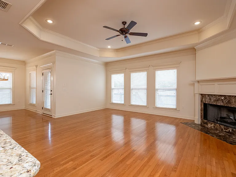 Living Room and Fireplace