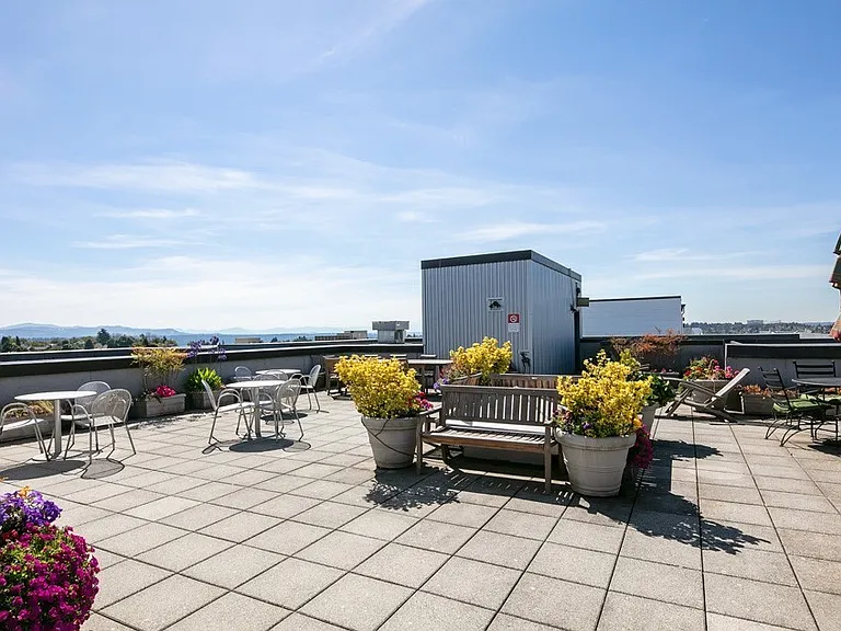 Rooftop is massive and a great extension of living space.