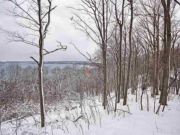 3rd image of Cheney Woods Trl