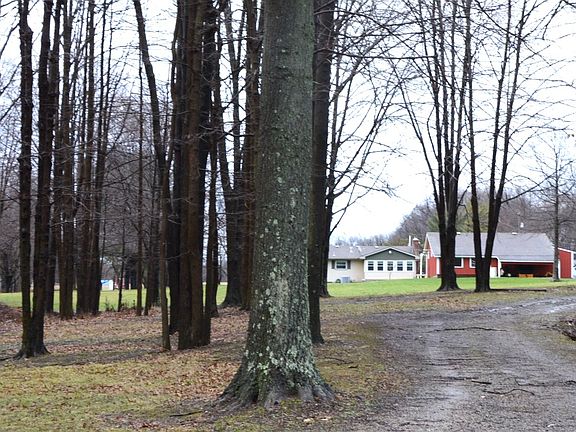 View from pond to house