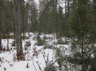 Lee Rd, Winter, WI 54896