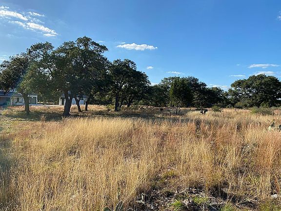 Native Grass