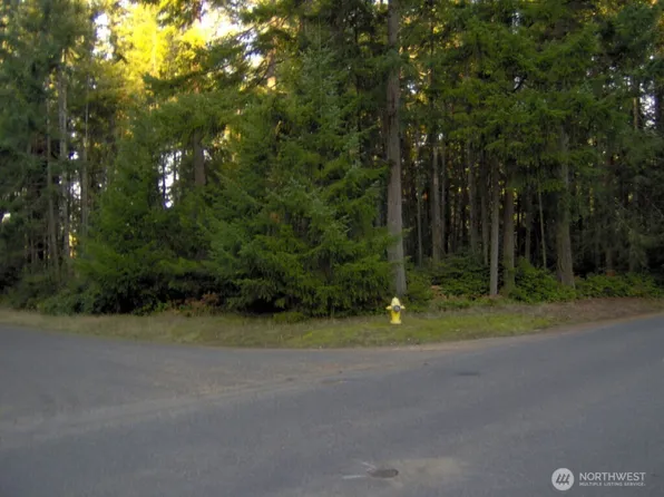 10211 Tahoma Drive, Anderson Island, WA 98303