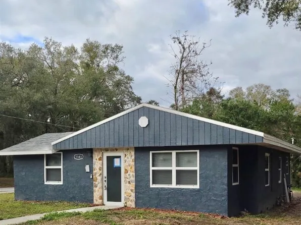 1103 Grant Ave, Mount Dora, FL 32757