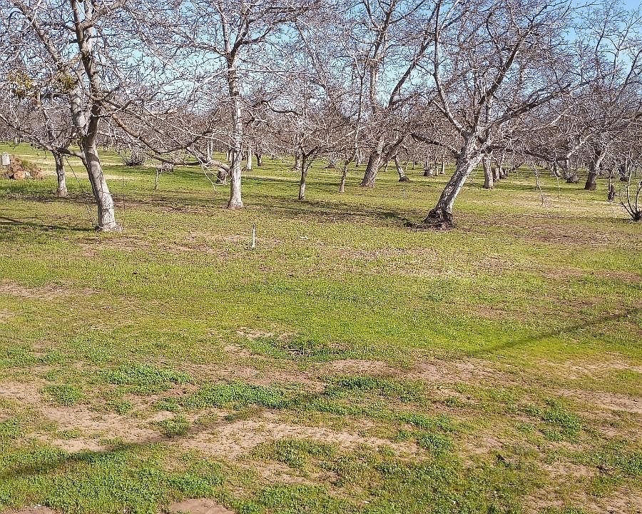 1st image of 12123 E Highway 26