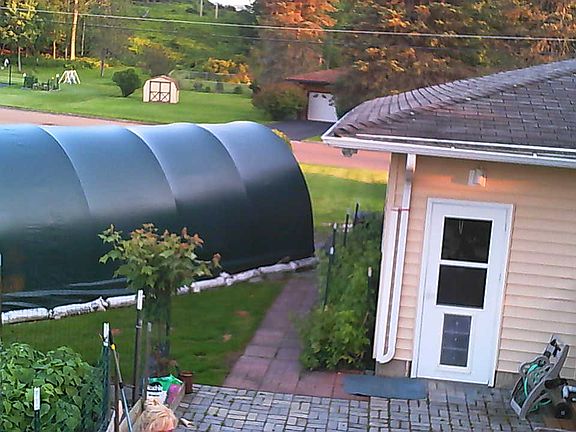 4th image of 3805 Pembrooke Ln