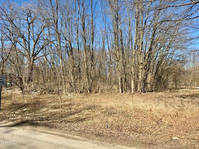 Locust St, Constantine, MI, 49042