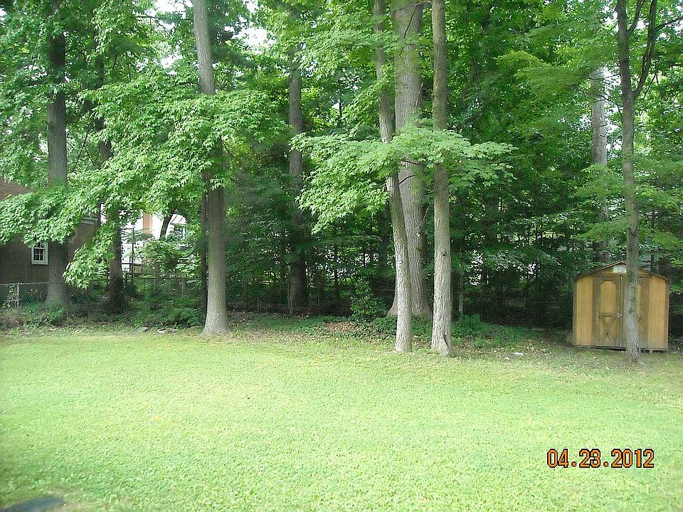 back yard
