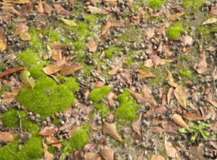 330 Sims Ave, Augusta, GA 30906