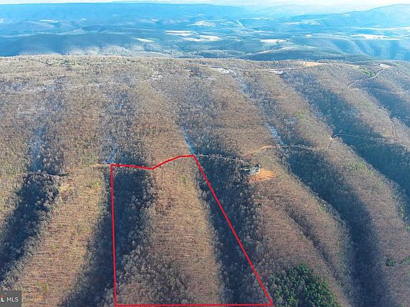 3rd image of 343 Ashton Woods Dr