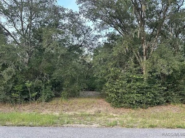 11803 N Providence Way, Dunnellon, FL 34433