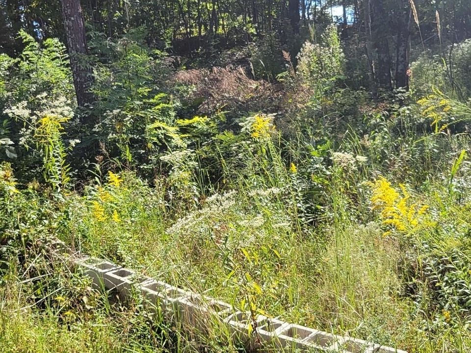 1st image of 0 Laurel Mountain Rd