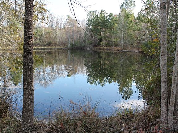 5th image of 5892 W Highway 220