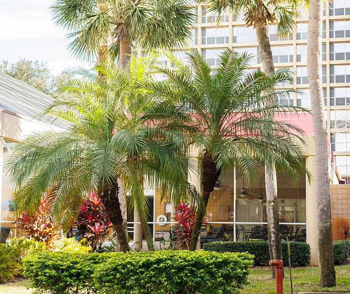Blue Palms at Fletcher — Photo 17