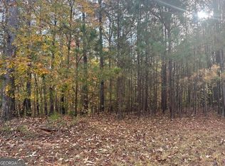 303 Spring Lake Cv, White, GA 30184