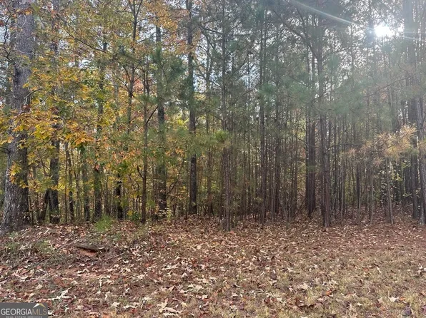 303 Spring Lake Cv, White, GA 30184