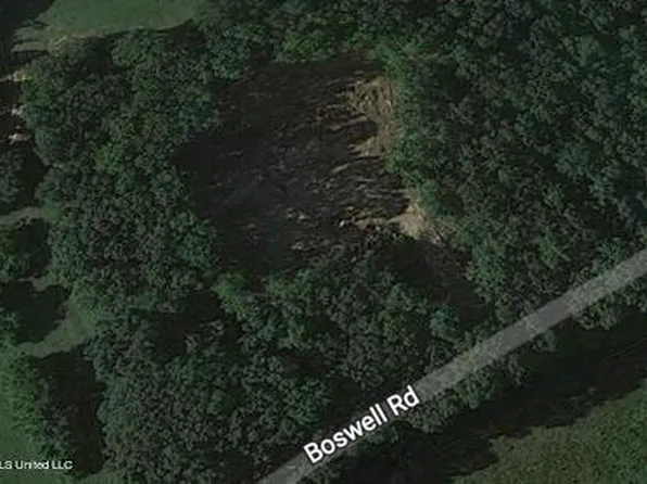 711 Boswell Rd, Holly Springs, MS 38635