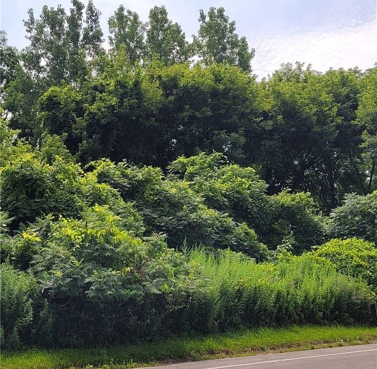 2nd image of 282 Telephone Rd