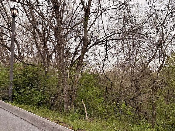 3rd image of LOT 4 Hideaway Ridge Cir