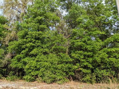 5640 CARIBBEAN Circle, Keystone Heights, FL, 32656