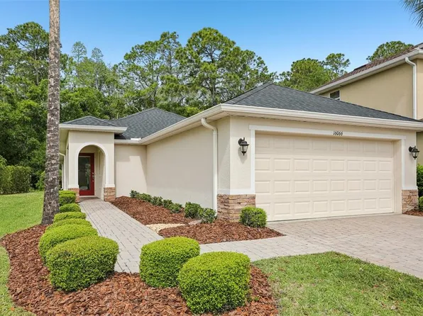 16066 Bella Woods Dr, Tampa, FL 33647