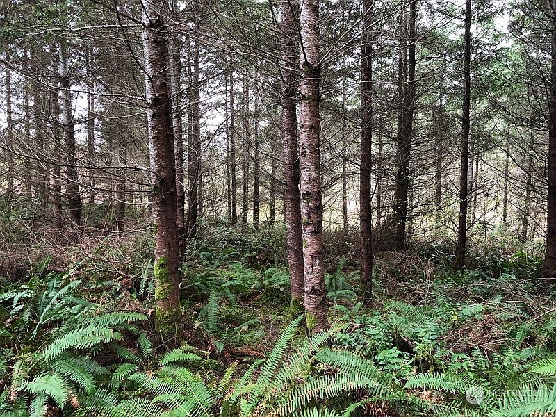 5th image of 217 XX Thompson Creek Road