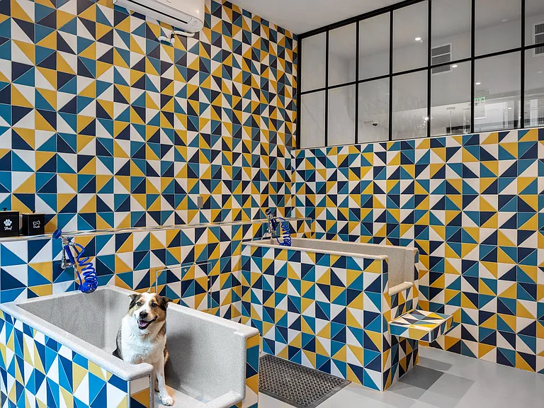 BranchPark_amenity_pet spa 2-10