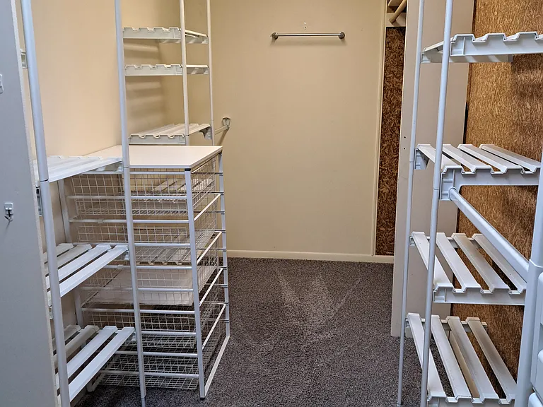 cedar lined walk-in closet in master BR