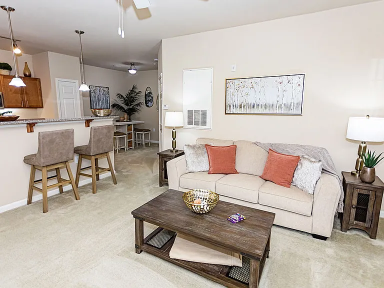 Clemmons Town Center Apartments — Photo 23