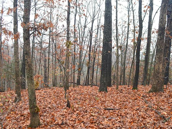 5th image of 000 Logan Ridge Road