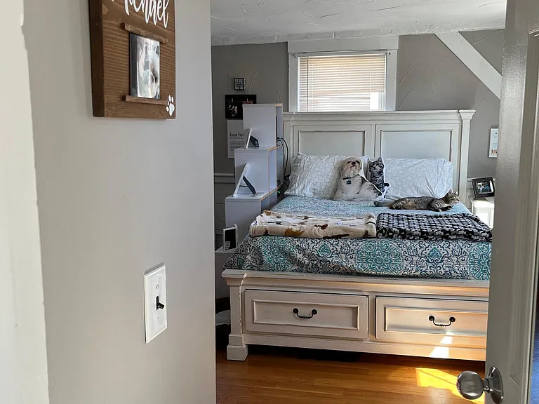 24 Lynde St #4 — Photo 10