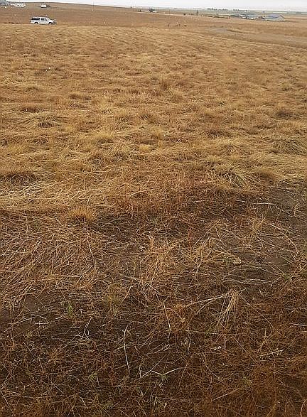 1st image of Powell Vista Dr