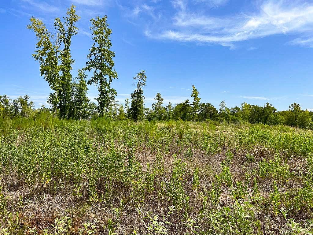 30003 Fm 1375 Rd E, New Waverly, TX 77358 MLS 32381246 Zillow