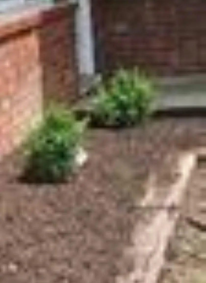 2 bed, 900 sqft, $980 — Photo 2