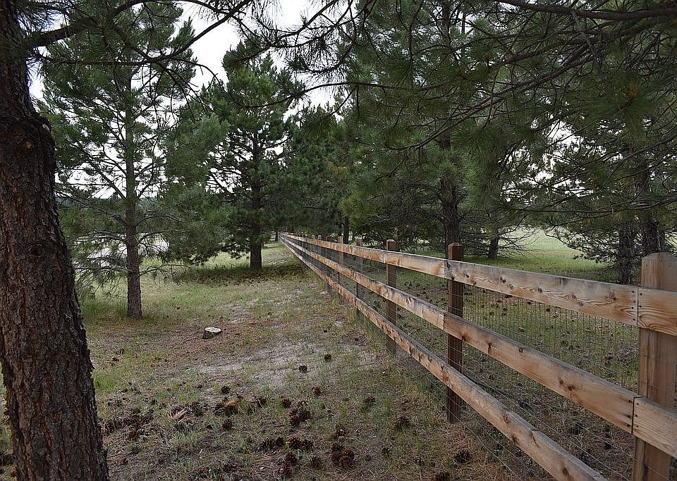 Lot is completely fenced 