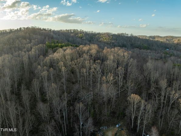 Tbd Buck Mountain Rd, Roan Mountain, TN 37687
