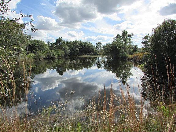 Pond